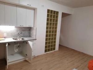Pronájem bytu 1+kk, Teplice, Svojsíkova, 23 m2