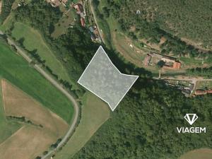 Prodej podílu lesa, Chlum, 936 m2