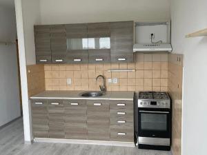 Pronájem bytu 1+1, Pardubice, Lonkova, 47 m2