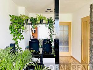 Prodej bytu 3+kk, Jihlava, Olbrachtova, 102 m2