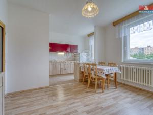 Pronájem bytu 1+1, Plzeň - Severní Předměstí, alej Svobody, 50 m2