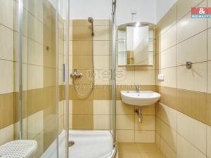 Pronájem bytu 1+1, Plzeň - Severní Předměstí, alej Svobody, 50 m2