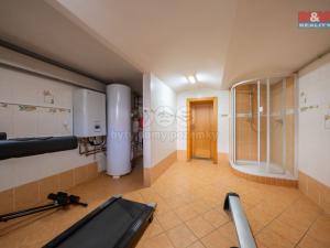 Prodej rodinného domu, Hodonín, Muchova, 212 m2