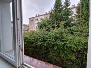 Pronájem bytu 2+kk, Ústí nad Labem, Májová, 42 m2