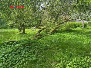Prodej rodinného domu, Čistá, 300 m2