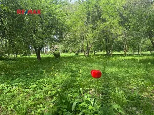 Prodej rodinného domu, Čistá, 300 m2