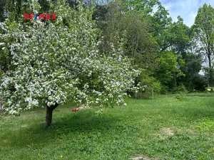 Prodej rodinného domu, Čistá, 300 m2
