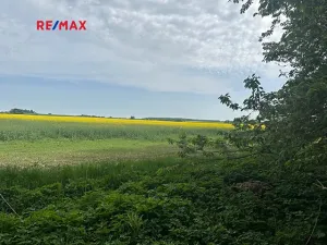 Prodej rodinného domu, Čistá, 300 m2