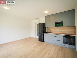 Prodej bytu 1+kk, Praha - Radlice, Lučištníků, 53 m2