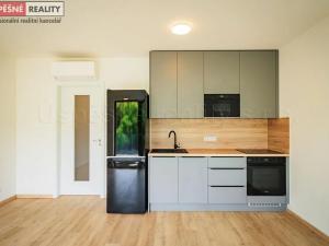 Prodej bytu 1+kk, Praha - Radlice, Lučištníků, 53 m2