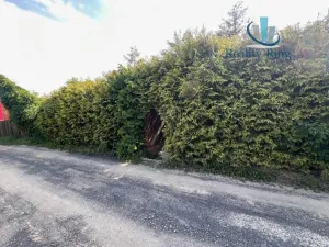 Prodej chaty, Žitenice, 80 m2