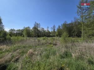 Prodej pozemku pro bydlení, Františkovy Lázně - Žírovice, 1000 m2