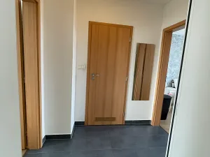 Pronájem bytu 2+kk, Plzeň, Nad Týncem, 46 m2