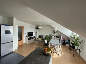 Pronájem bytu 2+kk, Plzeň, Nad Týncem, 46 m2