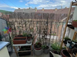 Pronájem bytu 2+kk, Plzeň, Nad Týncem, 46 m2