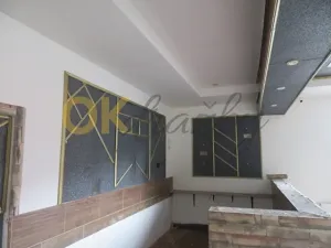 Dražba komerční nemovitosti, Česká Třebová, 402 m2