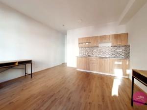 Pronájem bytu 1+kk, Olomouc, Uhelná, 35 m2
