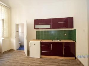 Pronájem bytu 1+kk, Praha - Žižkov, Vlkova, 21 m2