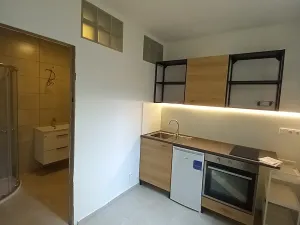 Pronájem kanceláře, Praha - Vokovice, Kladenská, 38 m2