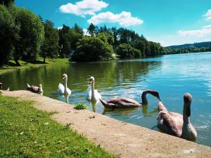 Prodej chaty, Jedovnice, 48 m2