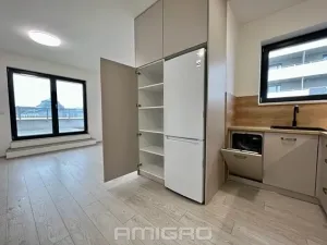Pronájem bytu 1+kk, Brno, Bratislavská, 35 m2