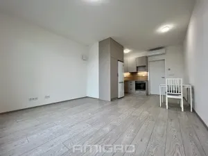 Pronájem bytu 1+kk, Brno, Bratislavská, 35 m2