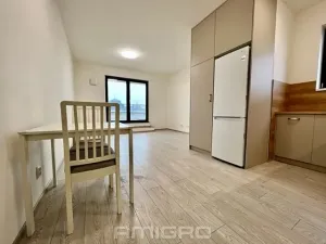 Pronájem bytu 1+kk, Brno, Bratislavská, 35 m2