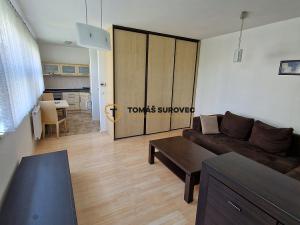 Pronájem bytu 1+kk, Zlín, Březnická, 38 m2