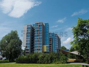Pronájem bytu 2+1, Brno, Dornych, 50 m2