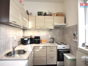 Pronájem bytu 1+kk, Šestajovice, Komenského, 29 m2