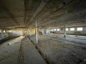Dražba zemědělského objektu, Srnojedy, Stodolní, 1500 m2