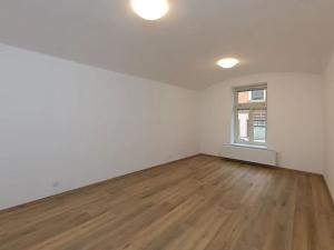 Pronájem bytu 1+1, Písek, Drlíčov, 45 m2
