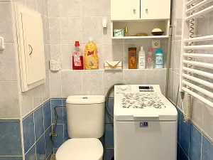 Pronájem bytu 2+kk, Český Krumlov, U Jeslí, 39 m2