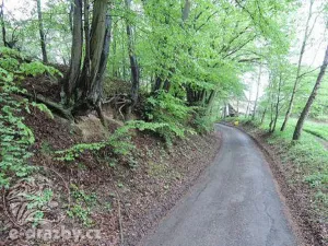 Dražba pozemku, Medonosy, 9062 m2