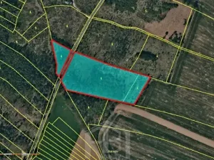 Prodej lesa, Dačice, 14057 m2