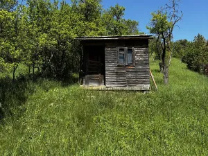 Prodej zahrady, Bučovice, Jižní svahy, 1723 m2
