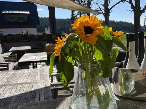 Prodej restaurace, Kvilda, 408 m2