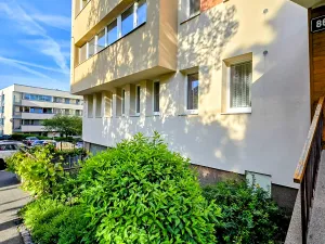 Prodej bytu 1+kk, Praha - Braník, Branická, 20 m2