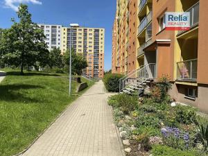 Pronájem bytu 2+kk, Liberec, Pazderkova, 42 m2