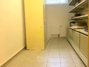 Pronájem rodinného domu, Praha - Ruzyně, Na Jivinách, 280 m2