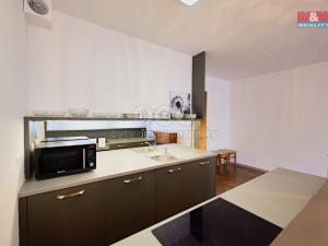 Pronájem bytu 1+kk, Olomouc - Nová Ulice, Wellnerova, 45 m2