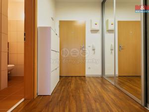 Pronájem bytu 1+kk, Olomouc - Nová Ulice, Wellnerova, 45 m2
