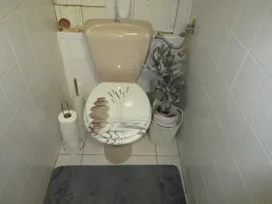 Prodej bytu 3+1, Protivín, Družstevní, 71 m2