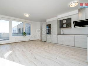 Pronájem bytu 4+kk, Praha - Dolní Měcholupy, Kryšpínova, 122 m2