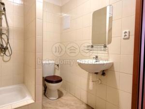 Pronájem bytu 1+kk, Jablonec nad Nisou, Rybářská, 43 m2