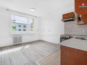 Pronájem bytu 1+1, Děčín - Děčín IX-Bynov, Na Vyhlídce, 33 m2