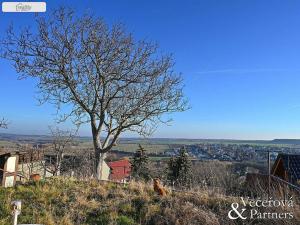 Prodej pozemku, Brandýsek, Ve višňovce, 824 m2