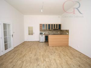Pronájem bytu 2+kk, Plzeň - Jižní Předměstí, Americká, 63 m2
