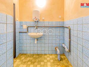 Prodej obchodního prostoru, Hromnice - Nynice, 65 m2