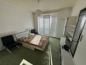 Prodej bytu 2+1, Brno, Merhautova, 62 m2